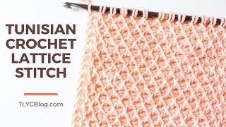 Tunisian Crochet Lattice Stitch  How To BEGINNER STITCH PATTERN  TUTORIAL [upl. by Beattie]