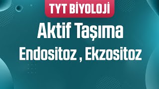 22 Aktif Taşıma  Endositoz  Ekzositoz [upl. by Rosalyn678]