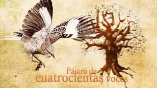 NEZAHUALCOYOTL poema [upl. by Notse]