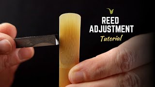 How to Improve Every Saxophone Reed [upl. by Hollyanne]