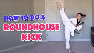 How to Roundhouse Kick  Martial Arts for Beginners [upl. by Garaway183]