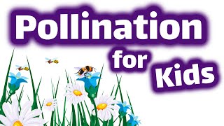 Pollination for Kids [upl. by Celeski58]