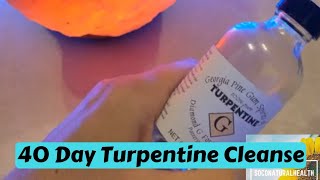 40 Day Turpentine Cleanse My Experience [upl. by Kenwrick]