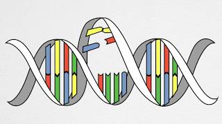 How UV Causes Cancer and Aging [upl. by Netsyrk439]