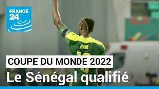 Le Sénégal qualifié pour la Coupe du monde 2022 au Qatar • FRANCE 24 [upl. by Raynell]