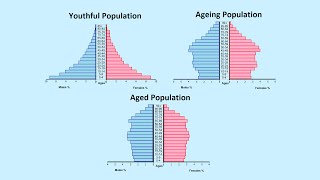 How to Read a Population Pyramid [upl. by Ennaeiluj902]