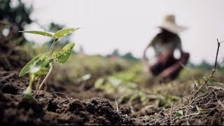 Fighting malnutrition in the Philippines  UNICEF [upl. by Adnol737]