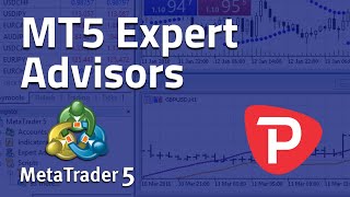 How to use Expert Advisor MetaTrader 5 [upl. by Eimilb]