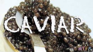 What Is and How to Eat Caviar Caviar 101 [upl. by Shoemaker]