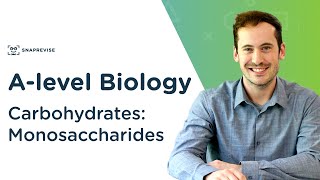 Carbohydrates Monosaccharides  Alevel Biology  OCR AQA Edexcel [upl. by Monjan15]