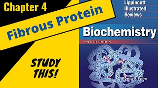 Lippincotts Biochemistry Review Chapter 4 Fibrous Proteins  Study This [upl. by Flem]