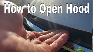 Lexus NX  how to open hood [upl. by Caylor]