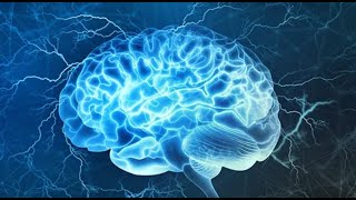 How does the subconscious mind work New video [upl. by Nonnaehr]