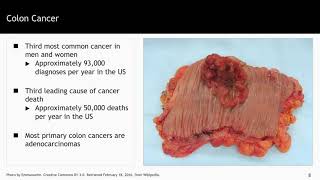 The Common Cancers  Introduction to the Biology of Cancer by Johns Hopkins University 5 [upl. by Novj]