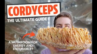 Zombie Fungus or Energy Mushroom The Ultimate Guide To Cordyceps [upl. by Urata973]