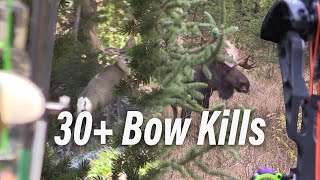 30 Bow Hunts in Under 15 Minutes Eastmans’ Bow Hunting [upl. by Gnay]