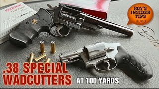 38 Special Wadcutters At 100 Yards [upl. by Sochor]