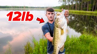 Catching My BIGGEST Bass EVER  12lber Bank Fishing [upl. by Wie]