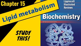 Lippincotts Biochemistry Review Chapter 15 Lipid Metabolism  Study This [upl. by Beisel]