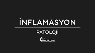 İnflamasyon1  2020 [upl. by Aicilana]