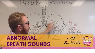 Abnormal Breath Sounds  Respiratory System [upl. by Nicol]