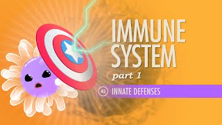 Immune System Part 1 Crash Course Anatomy amp Physiology 45 [upl. by Dale]