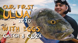 ULUA OmiluBluefin Trevally wEGGS SASHIMI amp SEARED  Catch and Cook  Spearfishing Hawaii [upl. by Pettifer]