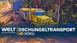 Schwertransport im brasilianischen Dschungel  HD Doku [upl. by Yelsnik627]