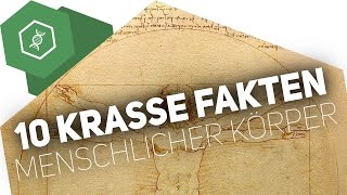 10 KRASSE FAKTEN über den menschlichen Körper [upl. by Anahsal]