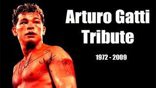 Arturo Gatti Highlights amp Knockouts  The Thunder Tribute [upl. by Bagger]