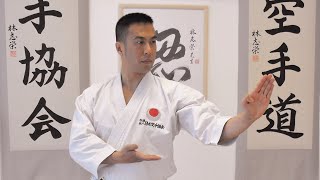 LETS LEARN KARATE with Ryan Hayashi 1  Beginners Training At Home [upl. by Akel]