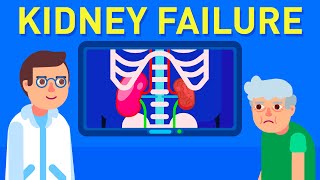 Kidney Anatomy DETAILED Renal Nephron Urinary System [upl. by Ahsekim]