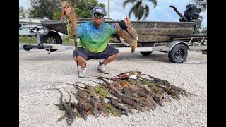 Hunting Invasive Iguana amp Egyptian Geese in MIAMI [upl. by Adamec]