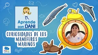 Curiosidades de los mamíferos marinos  Aprende con Dani [upl. by Asare647]