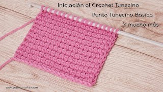 Iniciación al Crochet Tunecino Cómo Hacer el Punto Tunecino Básico y Mucho Más [upl. by Tiphane236]