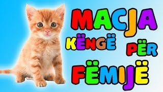 macja le te lahet kenge Kenge per femije │ Bleta ™ [upl. by Celinda]