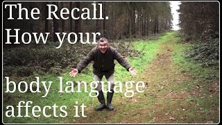 Dog Recall How Your Body Language Affects the Recall [upl. by Warfourd76]