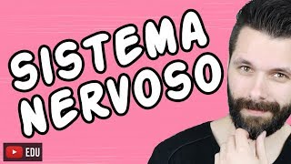 SISTEMA NERVOSO  FISIOLOGIA  Aula  Biologia com Samuel Cunha [upl. by Yenettirb]