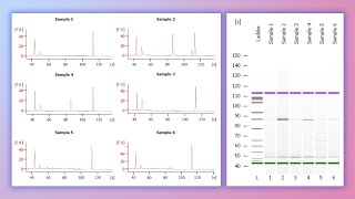 Forensic DNA Profiling Part 3 [upl. by Ackerley]