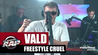 Vald  Freestyle Cruel RecordBattu PlanèteRap [upl. by Baxter778]