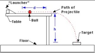 Projectile Motion Lab [upl. by Margot]