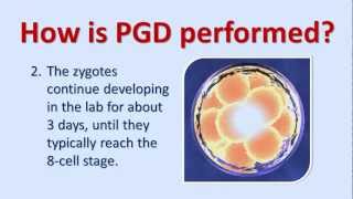 An Introduction To Preimplantation Genetic Diagnosis PGD [upl. by Aisatnaf]