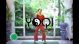 Qigong for Beginners [upl. by Jandel519]