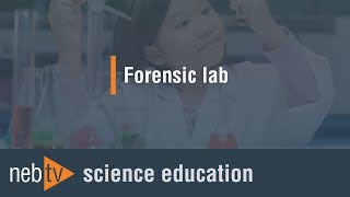 Kid Science  Forensic lab [upl. by Nimrahc]