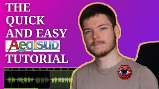 The Quick and Easy Aegisub Subtitle Tutorial [upl. by Schear344]