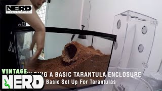 Building a basic tarantula enclosure  Basic Set Up For Tarantulas [upl. by Dnaletak]