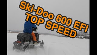 Ski Doo Expedition Sport 600 EFI Top Speed Test [upl. by Templeton]