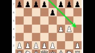 How to checkmate in 2 moves Fools Mate 2 Move Checkmate [upl. by Rabin]