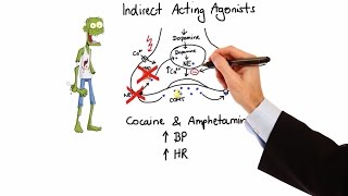 Pharmacology  ADRENERGIC RECEPTORS amp AGONISTS MADE EASY [upl. by Anairol]