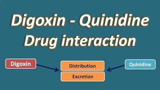 Digoxin and Quinidine drug interaction [upl. by Paget]